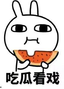 娱乐吃瓜酱图片搞笑,笑料横生的搞笑瞬间大盘点！